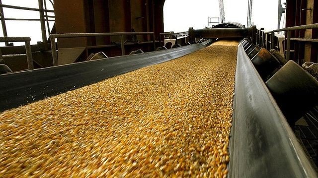 Los productores no podrn facturar sus granos en dlares