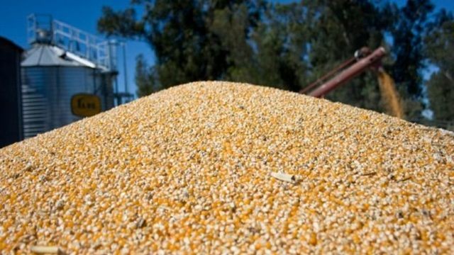 Ante la inminente suba de retenciones, agroexportadores liquidaron cifra rcord