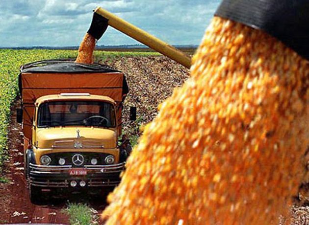 Rgimen de informacin: la AFIP ajust la fiscalizacin del comercio de granos