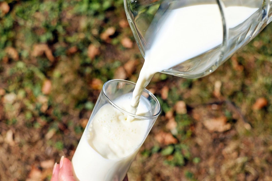 La AFIP regula el mecanismo de compensacin para los alimentos lcteos