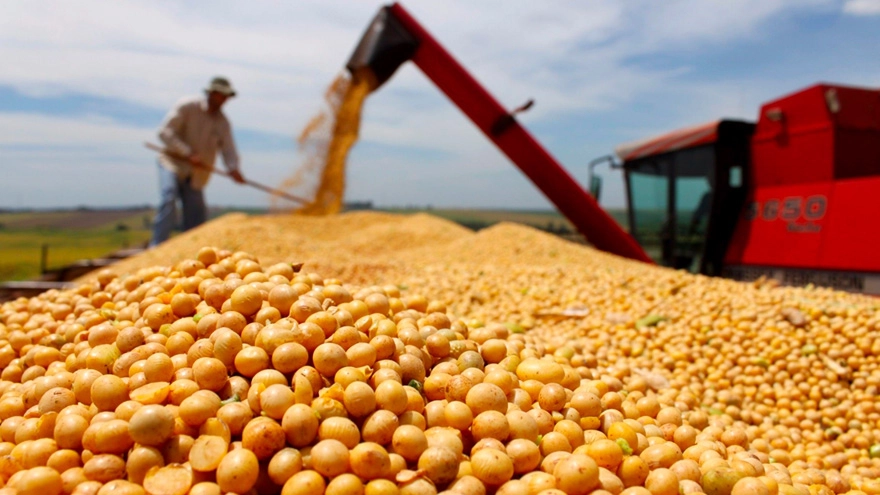 Exportadores de granos debern liquidar en forma automtica los tributos de sus operaciones