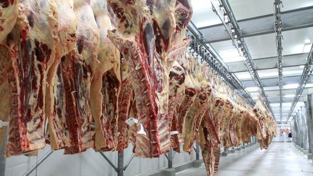 Gacetilla de prensa: La AFIP pone en marcha el remito electrnico de carnes