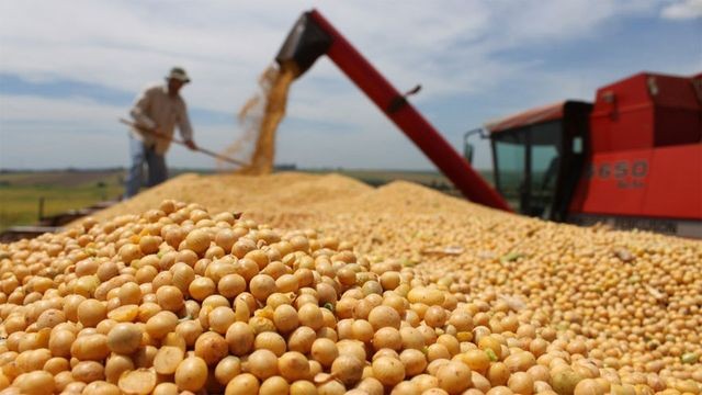 AFIP desminti cambios en el mecanismo de liquidacin de exportaciones de granos