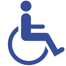 RESOLUCIN (MS) 558/2016 Proteccin a discapacitados