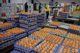 Industrializacin de huevos, CCT 678/2013. Escala salarial 